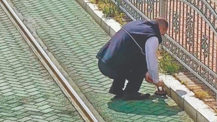 Kaplumbağa için tramvayı durdurdu TAKDİR TOPLADI