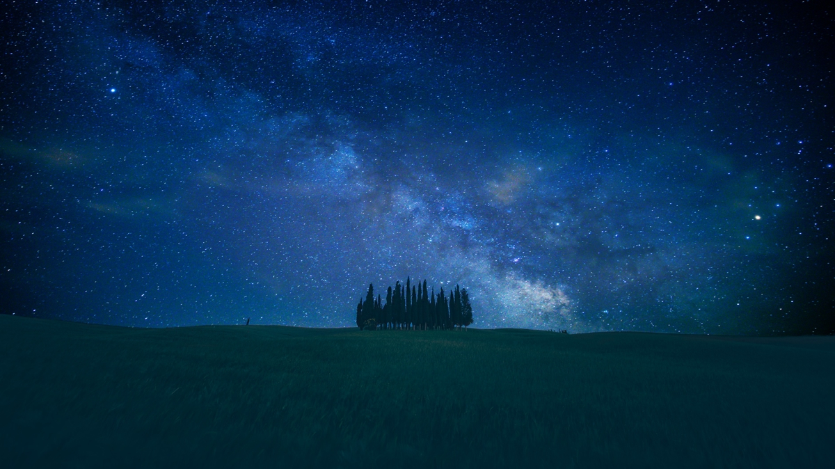 Bir rüya gördüler hayatları değişti!